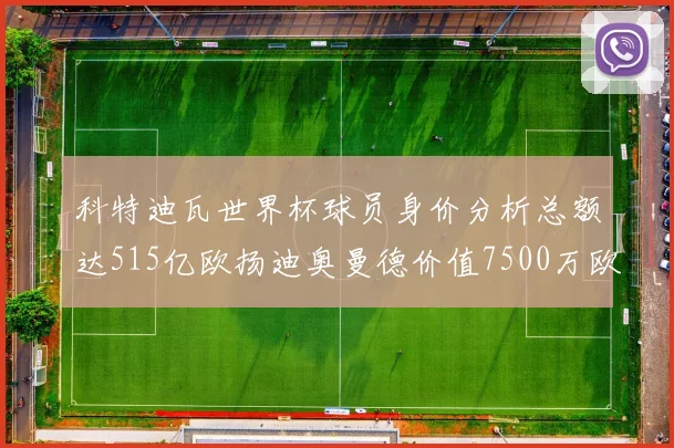 科特迪瓦世界杯球员身价分析总额达515亿欧扬迪奥曼德价值7500万欧