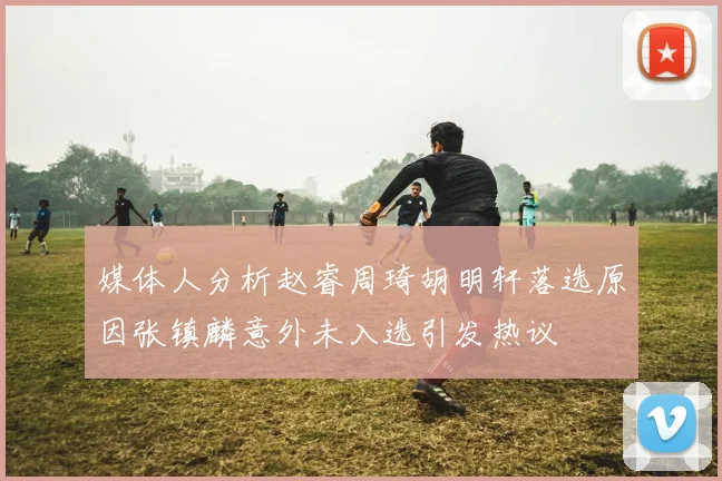 媒体人分析赵睿周琦胡明轩落选原因张镇麟意外未入选引发热议